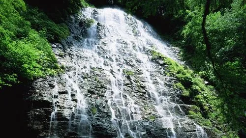 节能数字化高端
